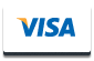 Visa Credit Card
